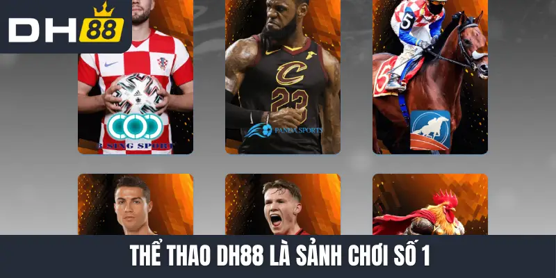 Thể thao DH88 là sảnh chơi số 1